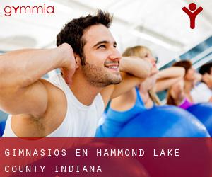 gimnasios en Hammond (Lake County, Indiana)