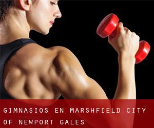 gimnasios en Marshfield (City of Newport, Gales)