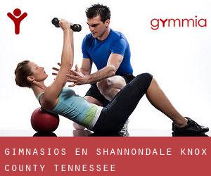 gimnasios en Shannondale (Knox County, Tennessee)