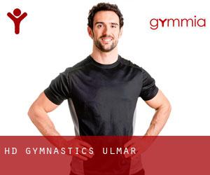HD Gymnastics (Ulmar)