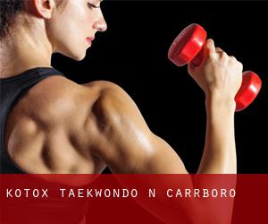 Kotox Taekwondo N (Carrboro)