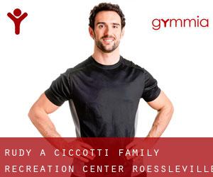 Rudy A Ciccotti Family Recreation Center (Roessleville)
