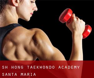 S.H. Hong Taekwondo Academy (Santa Maria)