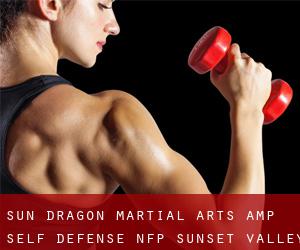 Sun Dragon Martial Arts & Self Defense NFP (Sunset Valley)